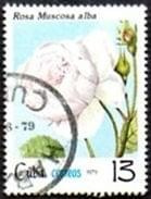KUBA Róże #znaczki