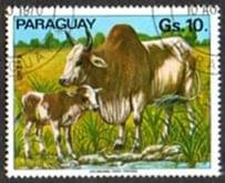 Paragwaj znaczki zwierzęta domowe