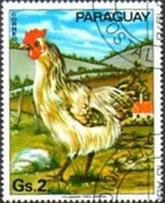 Paragwaj znaczki zwierzęta domowe